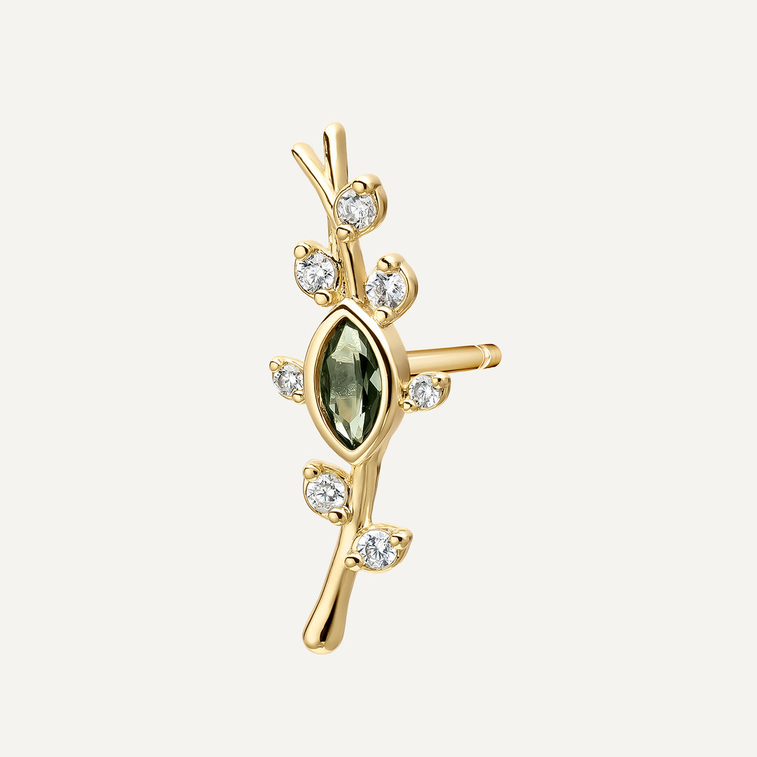 KLIMOORBEL OLIVE BRANCH